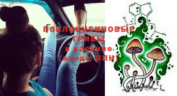 стаф Костерёво