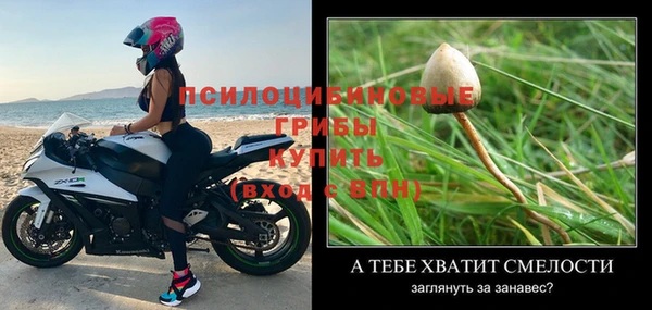 МДПВ Корсаков