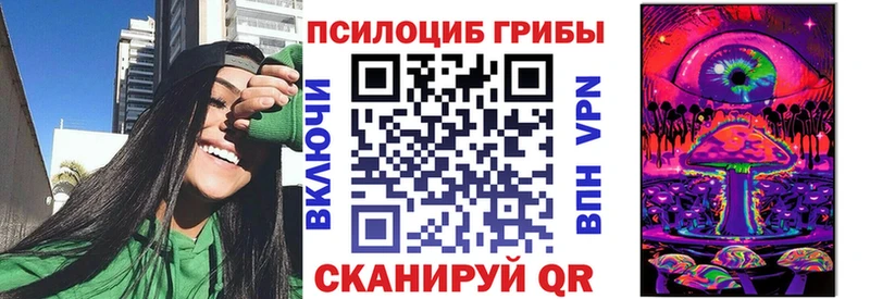 Псилоцибиновые грибы мицелий  Купить  Аша 